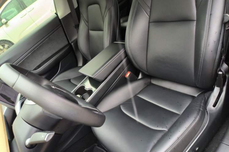 Used Tesla Model 3 2020 Standard Range Rear-Wheel Drive Upgraded Version Left Front Seat