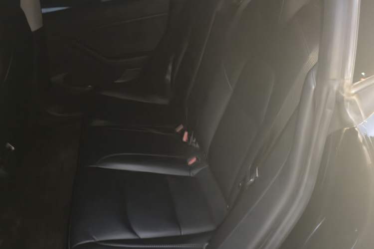 Used Tesla Model 3 2020 Revised Version Standard Range Rear-Wheel Drive – Upgraded Edition Left Rear Seat
