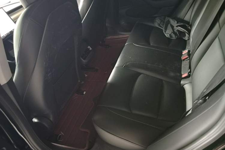 Used Tesla Model 3 2020 Standard Range Rear-Wheel Drive Upgraded Version Left Rear Seat