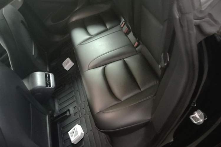 Used Tesla Model 3 2020 Standard Range Rear-Wheel Drive Upgraded Version Left Rear Seat