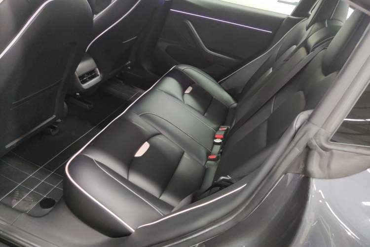 Used Tesla Model 3 2020 Standard Range Rear-Wheel Drive Upgraded Version Left Rear Seat