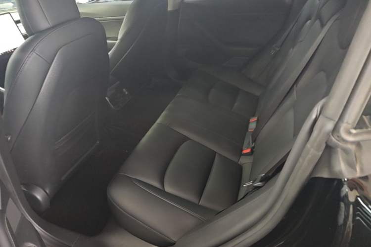 Used Tesla Model 3 2020 Revised Version Standard Range Rear-Wheel Drive – Upgraded Edition Left Rear Seat