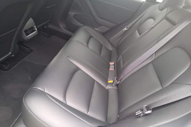 Used Tesla Model 3 2020 Standard Range Rear-Wheel Drive Upgraded Version Left Rear Seat