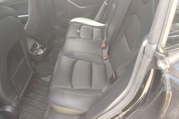 Used Tesla Model 3 2020 Standard Range Rear-Wheel Drive Upgraded Version Left Rear Seat