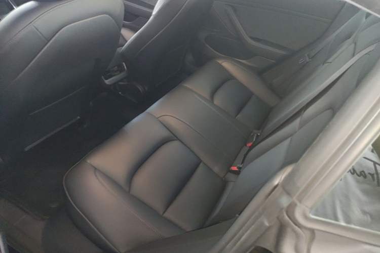 Used Tesla Model 3 2020 Revised Version Standard Range Rear-Wheel Drive – Upgraded Edition Left Rear Seat