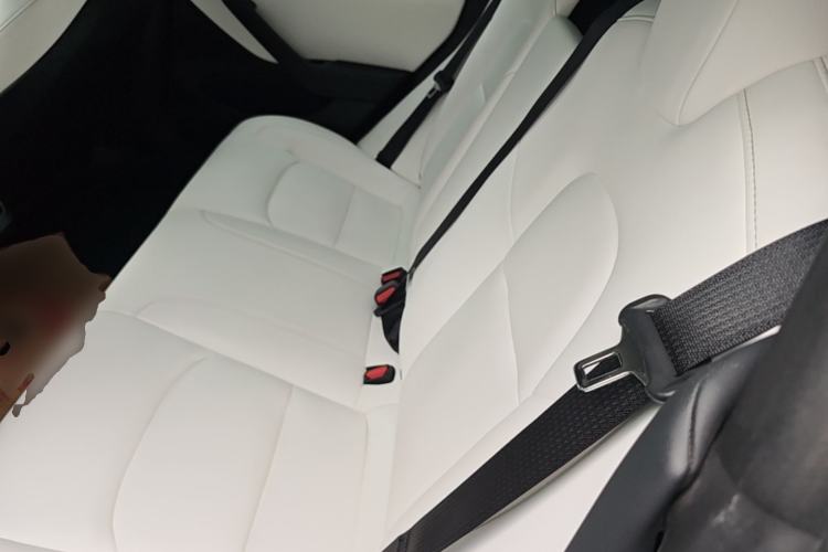 Used Tesla Model 3 2020 Refreshed Version Long-Range Rear-Wheel Drive Left Rear Seat