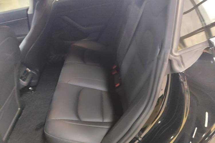 Used Tesla Model 3 2020 Revised Version Standard Range Rear-Wheel Drive – Upgraded Edition Left Rear Seat