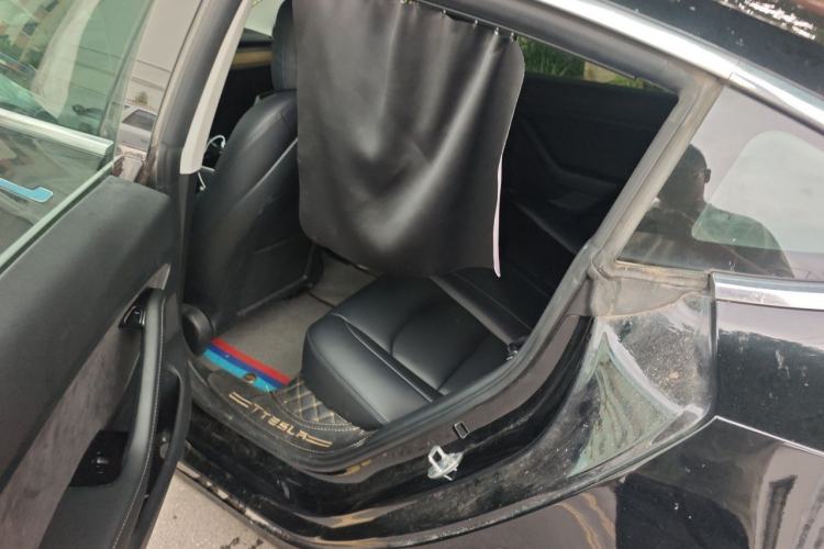 Used Tesla Model 3 2020 Standard Range Rear-Wheel Drive Upgraded Version Left Rear Seat