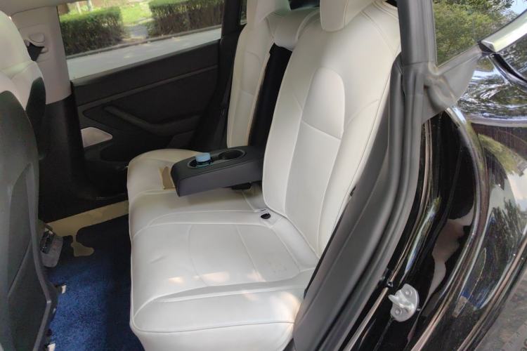 Used Tesla Model 3 2020 Standard Range Rear-Wheel Drive Upgraded Version Left Rear Seat