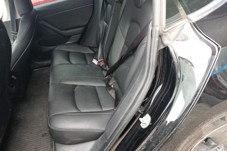 Used Tesla Model 3 2020 Standard Range Rear-Wheel Drive Upgraded Version Left Rear Seat
