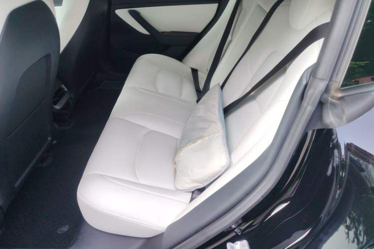 Used Tesla Model 3 2020 Standard Range Rear-Wheel Drive Upgraded Version Left Rear Seat