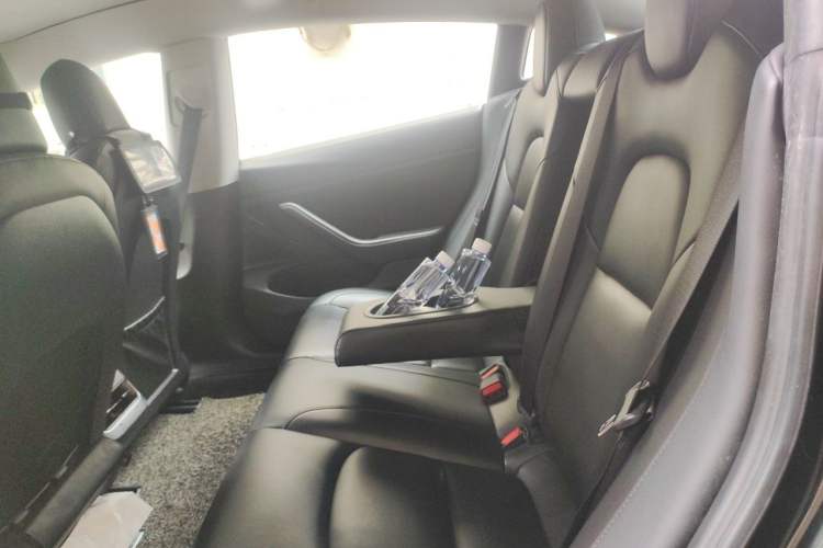 Used Tesla Model 3 2020 Standard Range Rear-Wheel Drive Upgraded Version Left Rear Seat