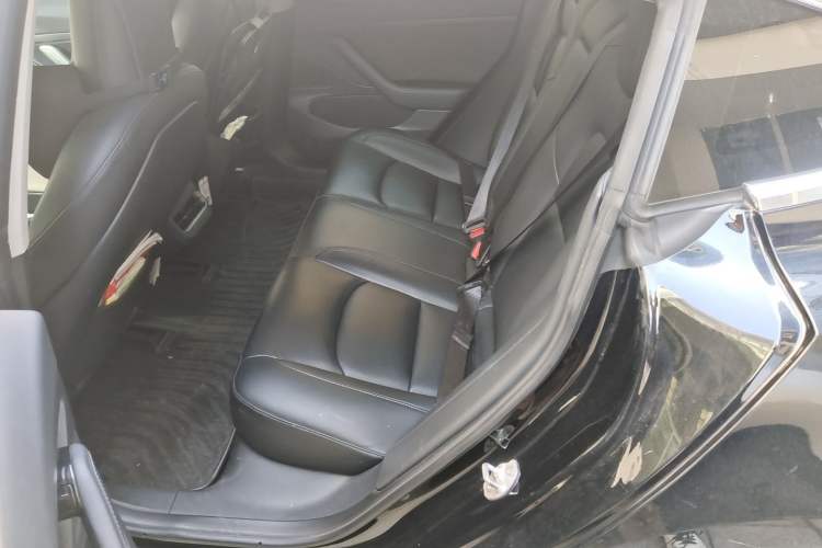 Used Tesla Model 3 2020 Revised Version Standard Range Rear-Wheel Drive – Upgraded Edition Left Rear Seat