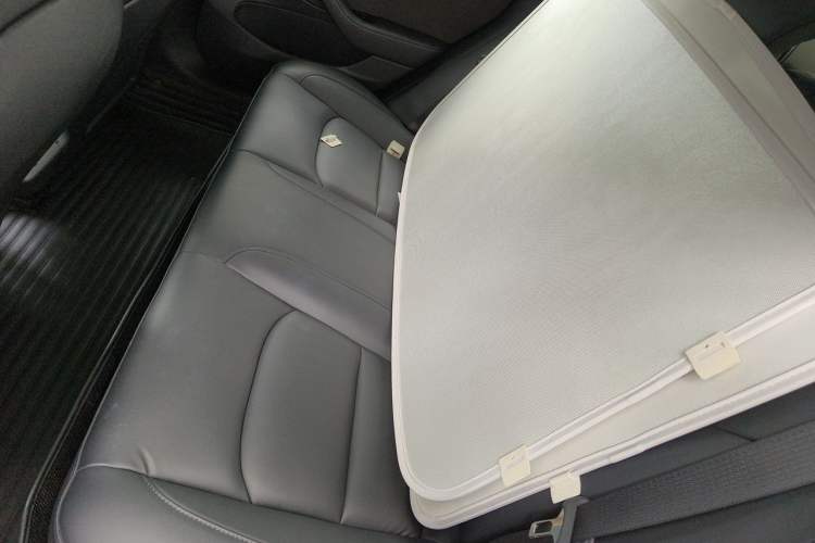 Used Tesla Model 3 2020 Revised Version Standard Range Rear-Wheel Drive – Upgraded Edition Left Rear Seat