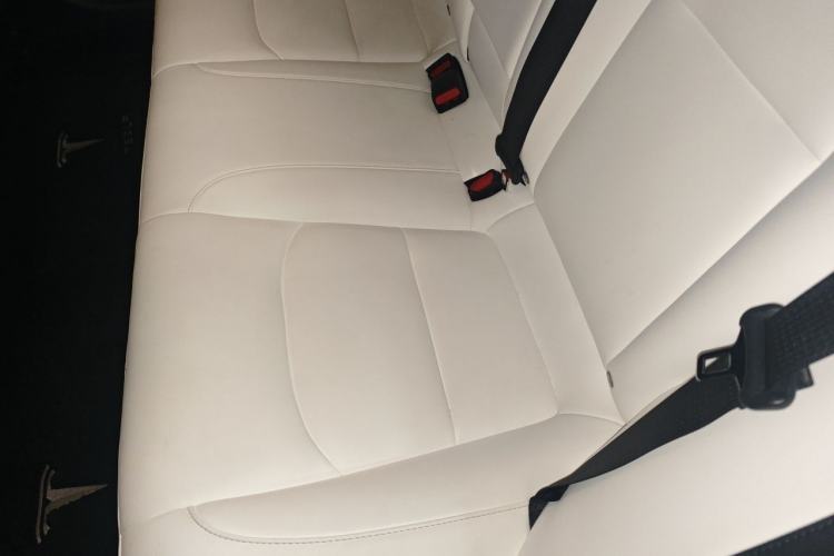 Used Tesla Model 3 2020 Standard Range Rear-Wheel Drive Upgraded Version Left Rear Seat