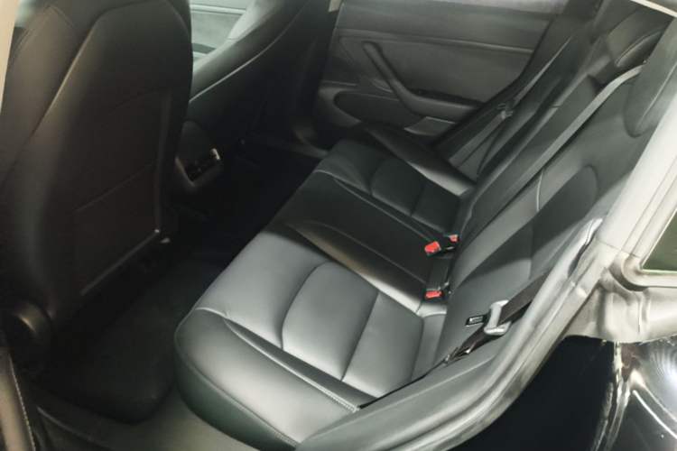 Used Tesla Model 3 2020 Standard Range Rear-Wheel Drive Upgraded Version Left Rear Seat