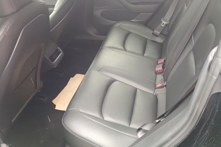Used Tesla Model 3 2020 Standard Range Rear-Wheel Drive Upgraded Version Left Rear Seat