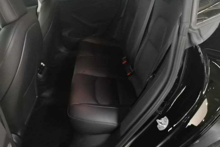 Used Tesla Model 3 2020 Revised Version Standard Range Rear-Wheel Drive – Upgraded Edition Left Rear Seat