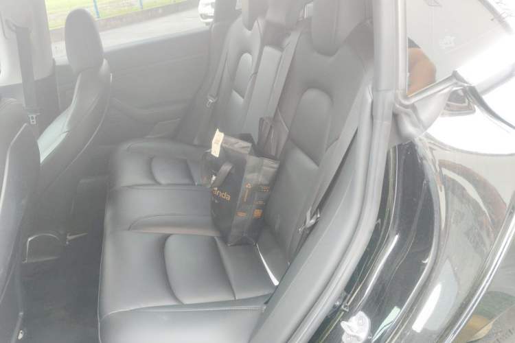 Used Tesla Model 3 2020 Standard Range Rear-Wheel Drive Upgraded Version Left Rear Seat