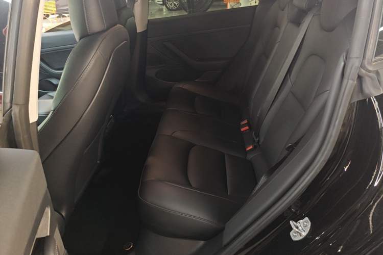 Used Tesla Model 3 2020 Revised Version Standard Range Rear-Wheel Drive – Upgraded Edition Left Rear Seat