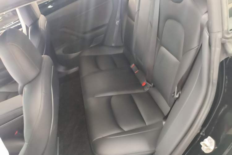 Used Tesla Model 3 2020 Revised Version Standard Range Rear-Wheel Drive – Upgraded Edition Left Rear Seat