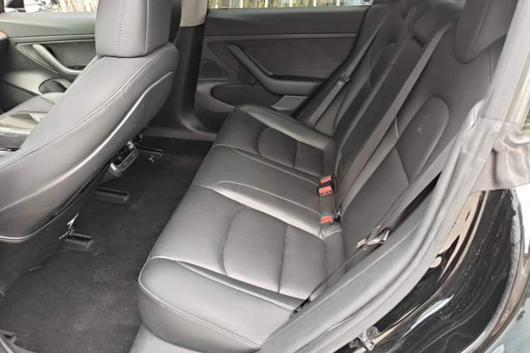 Used Tesla Model 3 2020 Revised Version Standard Range Rear-Wheel Drive – Upgraded Edition Left Rear Seat