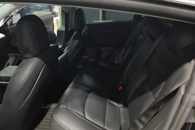 Used Tesla Model 3 2020 Revised Version Standard Range Rear-Wheel Drive – Upgraded Edition Left Rear Seat
