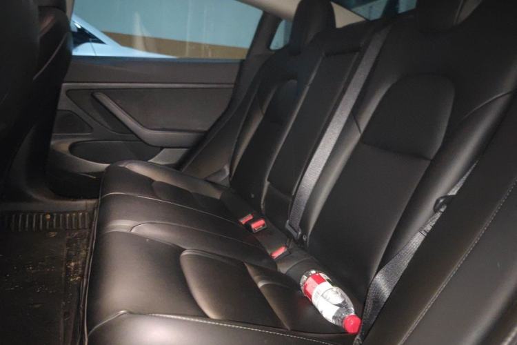 Used Tesla Model 3 2020 Standard Range Rear-Wheel Drive Upgraded Version Left Rear Seat