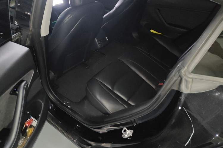 Used Tesla Model 3 2020 Revised Version Standard Range Rear-Wheel Drive – Upgraded Edition Left Rear Seat