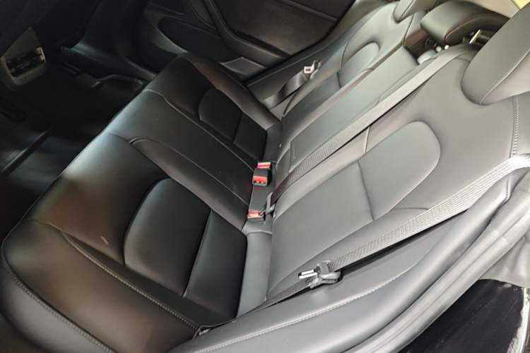 Used Tesla Model 3 2020 Standard Range Rear-Wheel Drive Upgraded Version Left Rear Seat