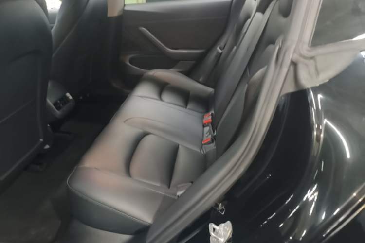 Used Tesla Model 3 2020 Long-Range Rear-Wheel-Drive Version Left Rear Seat
