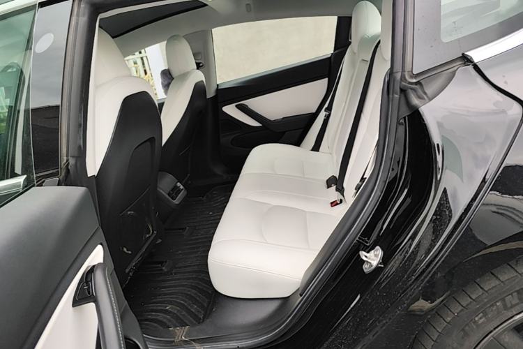 Used Tesla Model 3 2020 Revised Version Standard Range Rear-Wheel Drive – Upgraded Edition Left Rear Seat