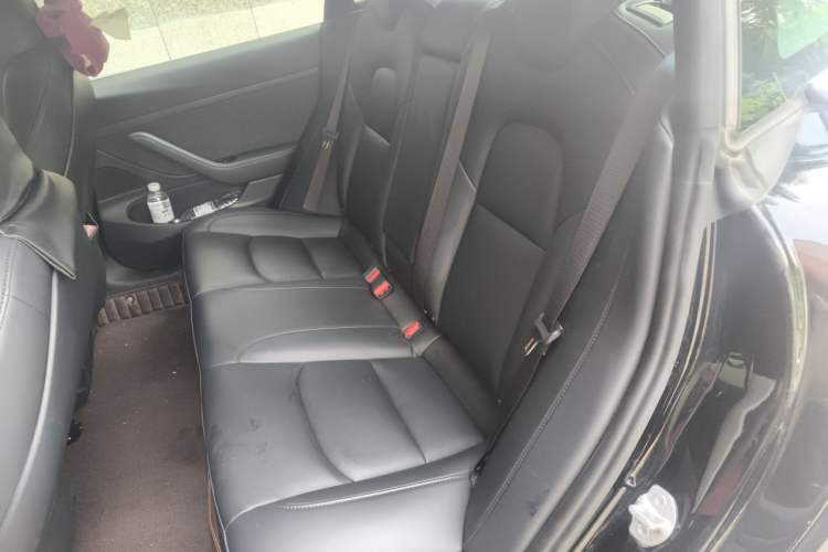 Used Tesla Model 3 2020 Revised Version Standard Range Rear-Wheel Drive – Upgraded Edition Left Rear Seat