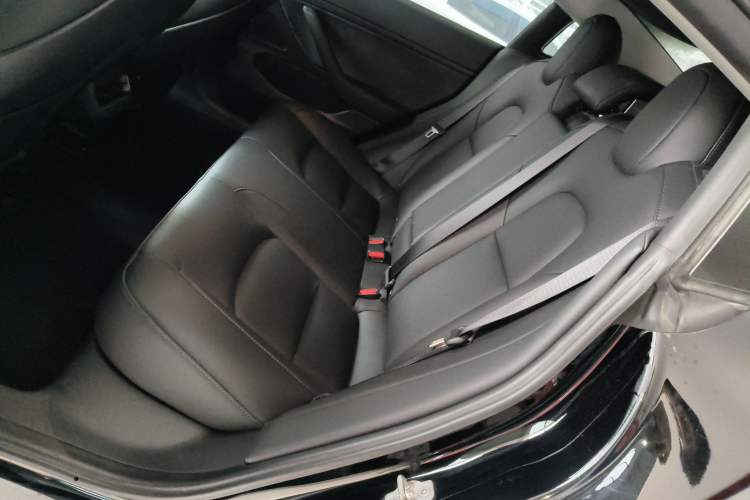 Used Tesla Model 3 2020 Standard Range Rear-Wheel Drive Upgraded Version Left Rear Seat