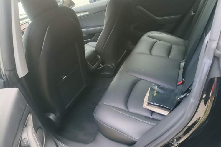 Used Tesla Model 3 2020 Standard Range Rear-Wheel Drive Upgraded Version Left Rear Seat