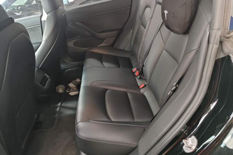 Used Tesla Model 3 2020 Revised Version Standard Range Rear-Wheel Drive – Upgraded Edition Left Rear Seat