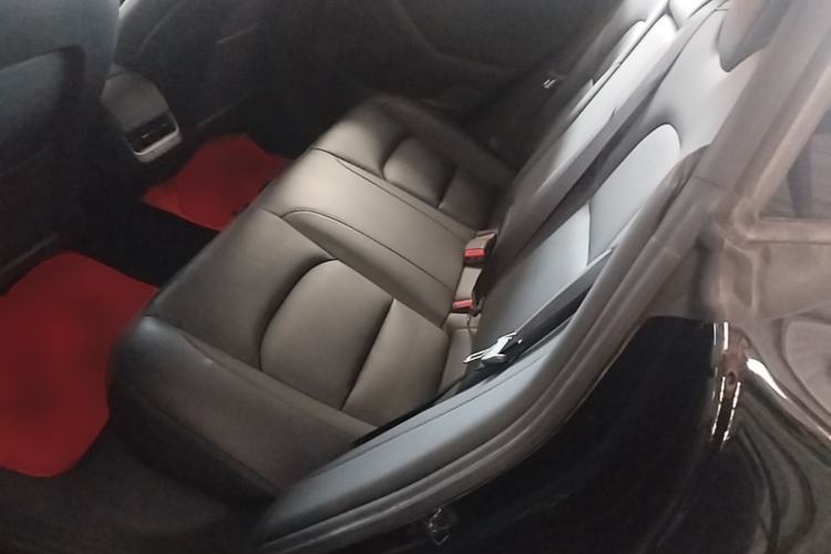 Used Tesla Model 3 2020 Revised Version Standard Range Rear-Wheel Drive – Upgraded Edition Left Rear Seat
