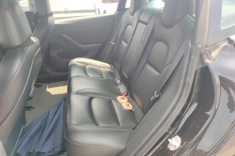 Used Tesla Model 3 2020 Revised Version Standard Range Rear-Wheel Drive – Upgraded Edition Left Rear Seat