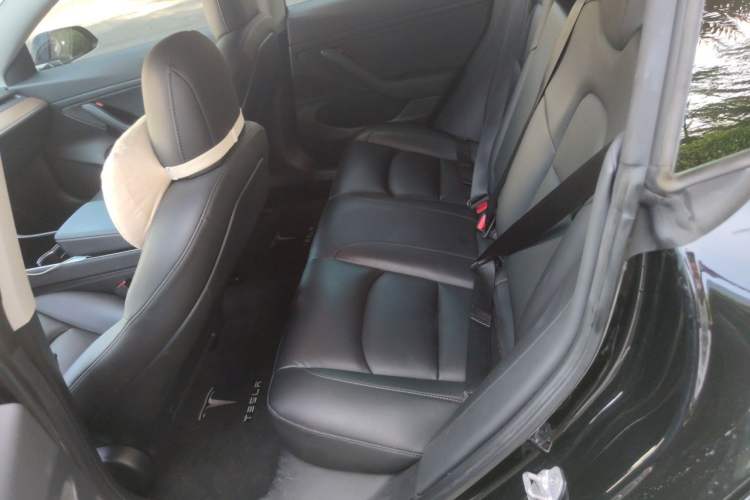 Used Tesla Model 3 2020 Revised Version Standard Range Rear-Wheel Drive – Upgraded Edition Left Rear Seat