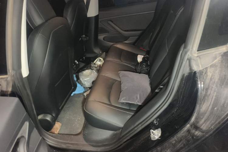 Used Tesla Model 3 2020 Revised Version Standard Range Rear-Wheel Drive – Upgraded Edition Left Rear Seat