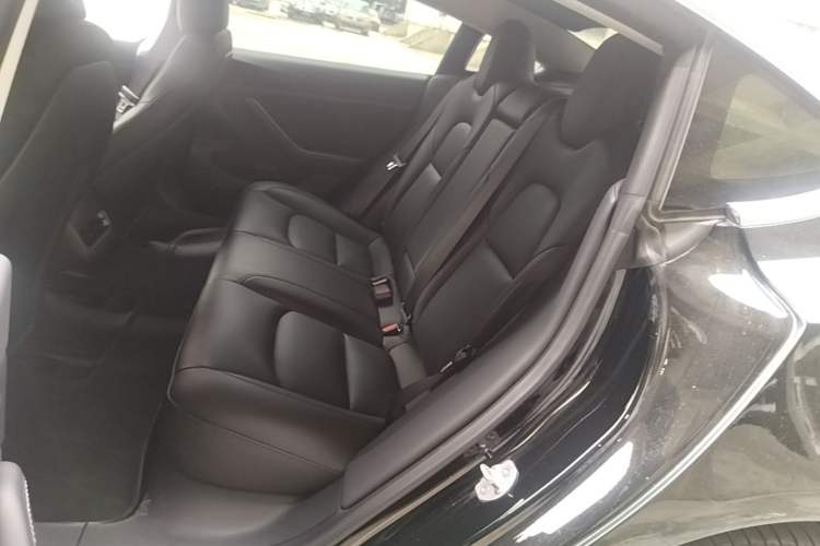 Used Tesla Model 3 2020 Standard Range Rear-Wheel Drive Upgraded Version Left Rear Seat