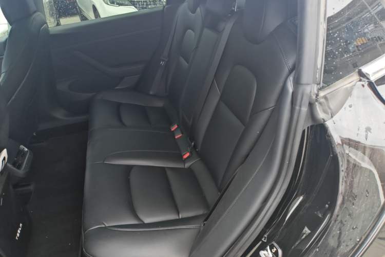 Used Tesla Model 3 2020 Refreshed Version Long-Range Rear-Wheel Drive Left Rear Seat