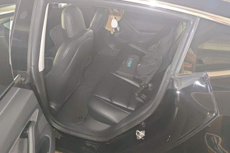 Used Tesla Model 3 2020 Standard Range Rear-Wheel Drive Upgraded Version Left Rear Seat