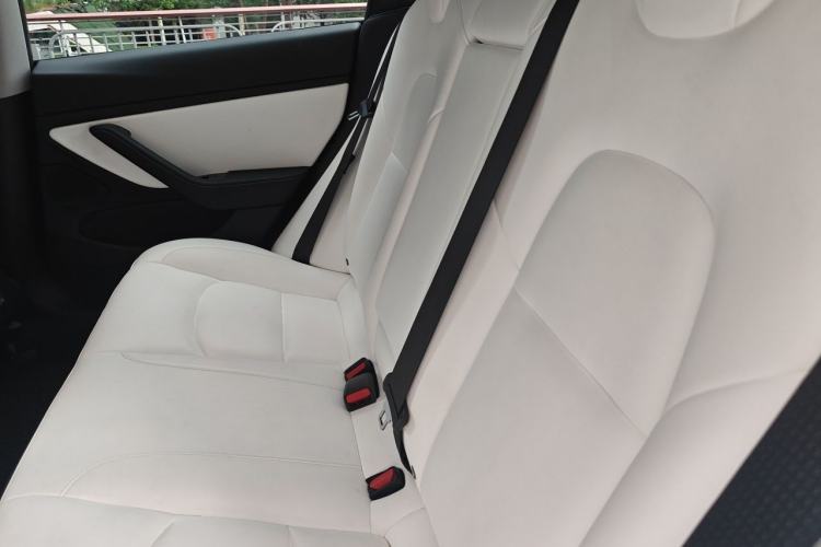 Used Tesla Model 3 2020 Revised Version Standard Range Rear-Wheel Drive – Upgraded Edition Left Rear Seat