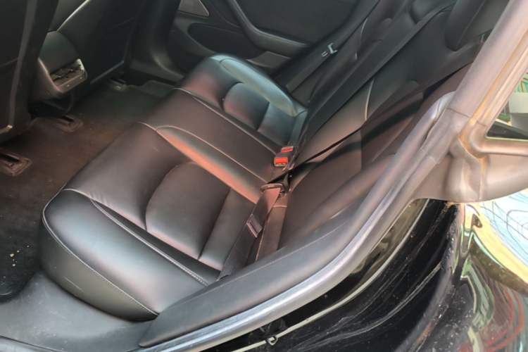 Used Tesla Model 3 2020 Standard Range Rear-Wheel Drive Upgraded Version Left Rear Seat