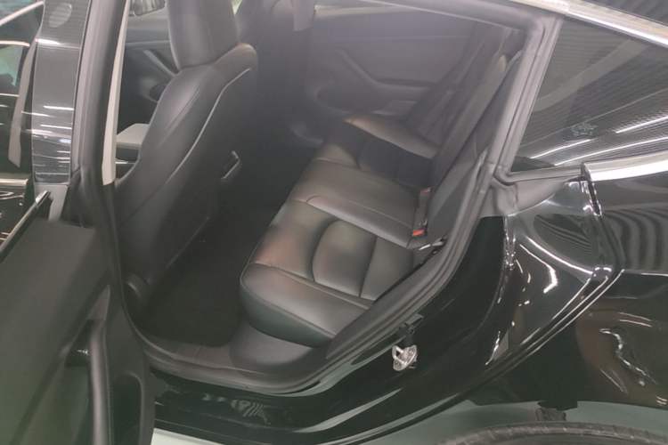 Used Tesla Model 3 2020 Revised Version Standard Range Rear-Wheel Drive – Upgraded Edition Left Rear Seat
