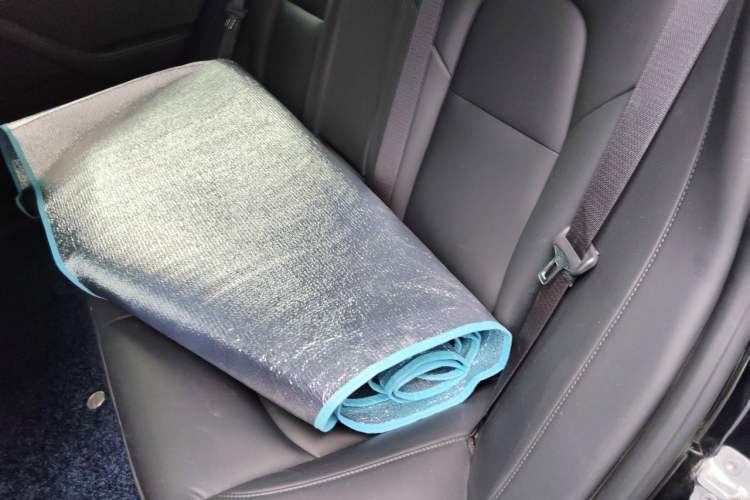 Used Tesla Model 3 2020 Revised Version Standard Range Rear-Wheel Drive – Upgraded Edition Left Rear Seat