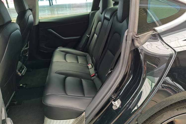 Used Tesla Model 3 2020 Standard Range Rear-Wheel Drive Upgraded Version Left Rear Seat