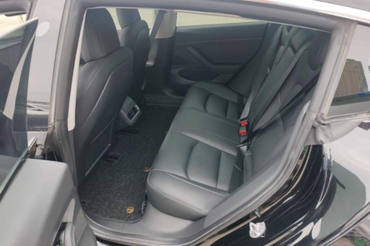 Used Tesla Model 3 2020 Revised Version Standard Range Rear-Wheel Drive – Upgraded Edition Left Rear Seat