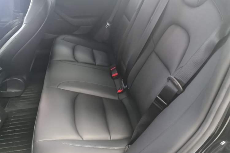Used Tesla Model 3 2020 Revised Version Standard Range Rear-Wheel Drive – Upgraded Edition Left Rear Seat